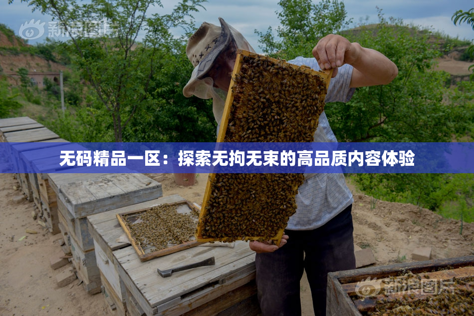 无码精品一区：探索无拘无束的高品质内容体验