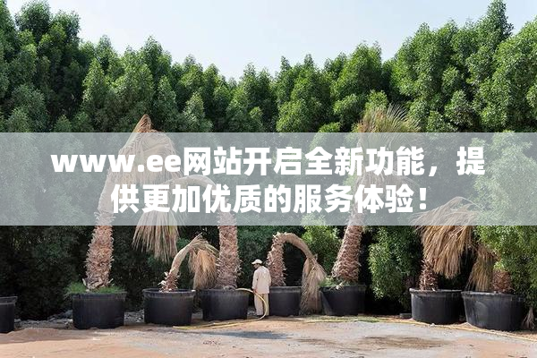 www.ee网站开启全新功能，提供更加优质的服务体验！