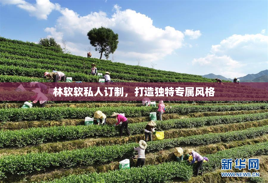 林软软私人订制，打造独特专属风格