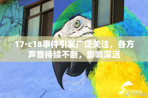 17·c18事件引发广泛关注，各方声音持续不断，影响深远
