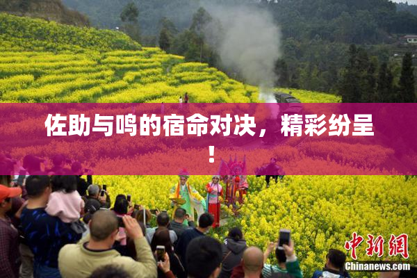 佐助与鸣的宿命对决，精彩纷呈！