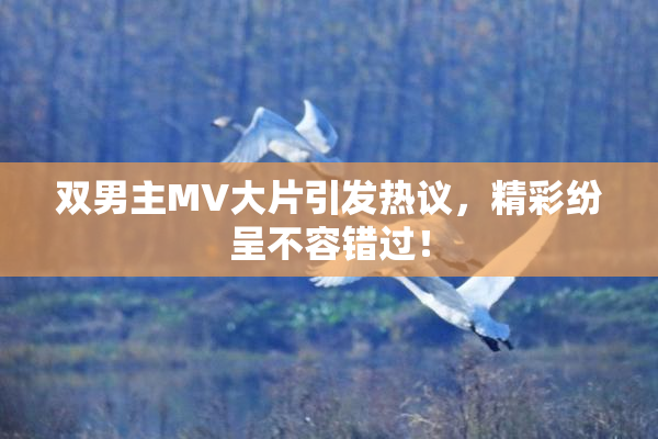 双男主MV大片引发热议，精彩纷呈不容错过！