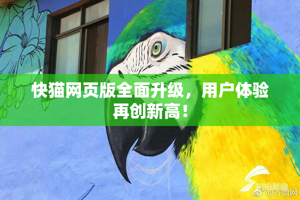 快猫网页版全面升级，用户体验再创新高！