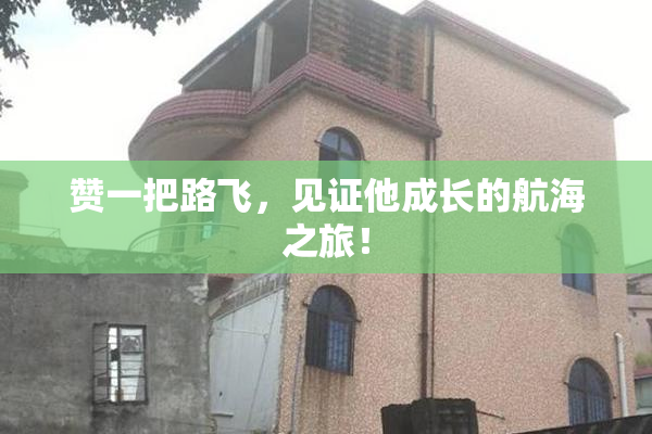 赞一把路飞，见证他成长的航海之旅！