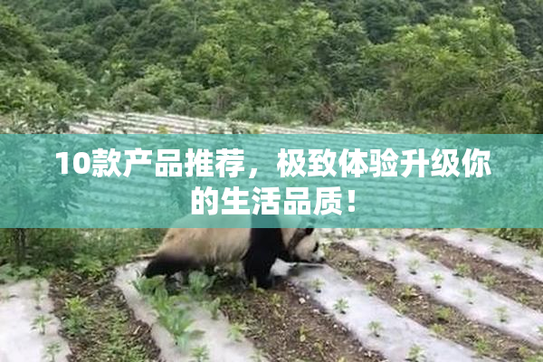 10款产品推荐，极致体验升级你的生活品质！