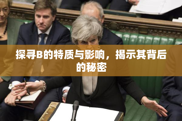 探寻B的特质与影响，揭示其背后的秘密