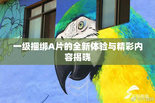一级捆绑A片的全新体验与精彩内容揭晓