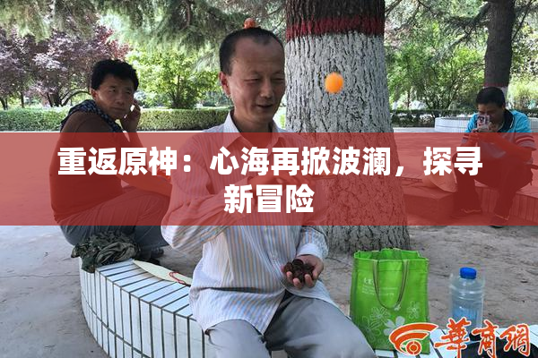 重返原神：心海再掀波澜，探寻新冒险