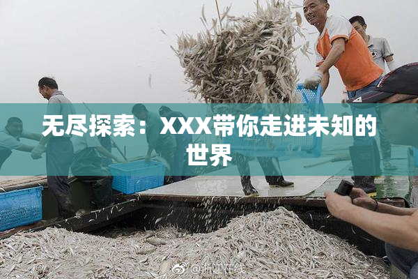 无尽探索：XXX带你走进未知的世界
