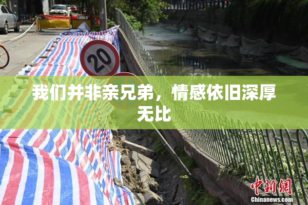 我们并非亲兄弟，情感依旧深厚无比