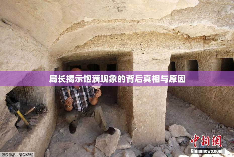 局长揭示饱满现象的背后真相与原因