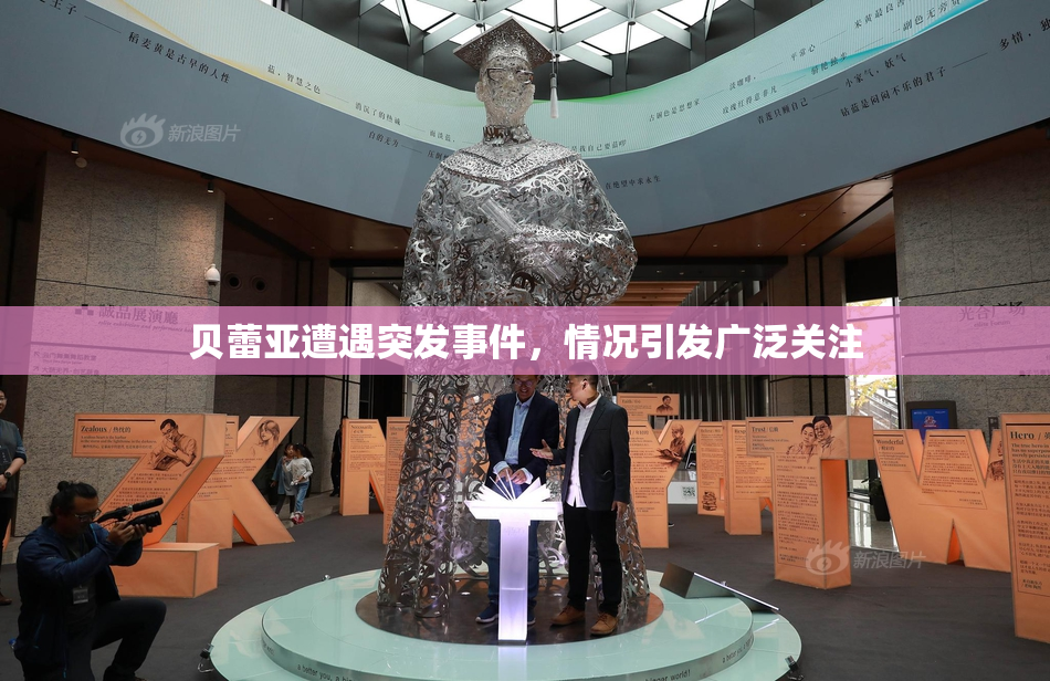 贝蕾亚遭遇突发事件，情况引发广泛关注