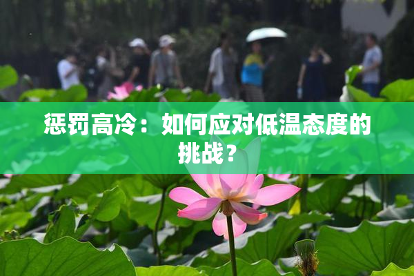 惩罚高冷：如何应对低温态度的挑战？