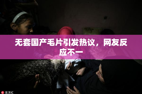 无套国产毛片引发热议，网友反应不一