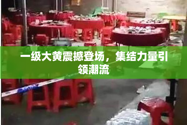 一级大黄震撼登场，集结力量引领潮流