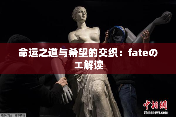 命运之道与希望的交织：fateのエ解读