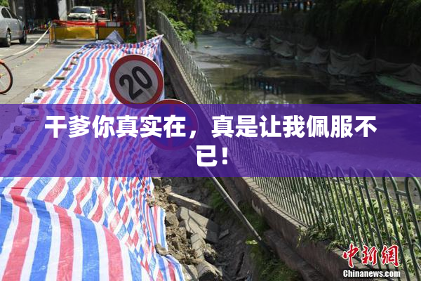 干爹你真实在，真是让我佩服不已！