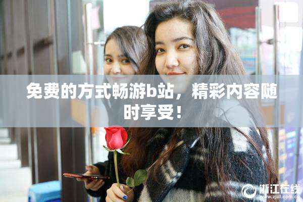 免费的方式畅游b站，精彩内容随时享受！