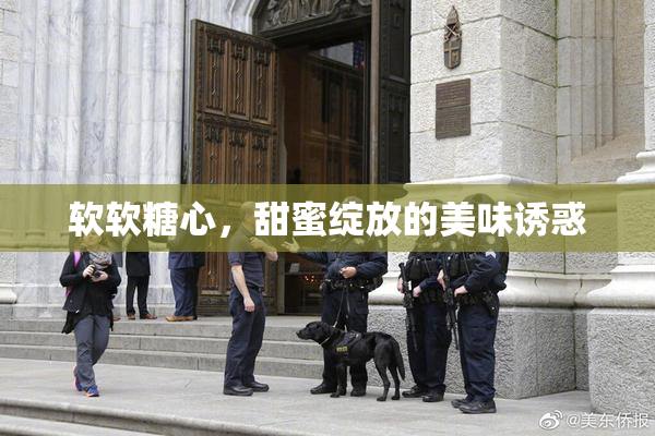 软软糖心，甜蜜绽放的美味诱惑