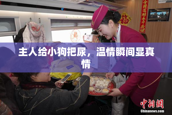 主人给小狗把尿，温情瞬间显真情