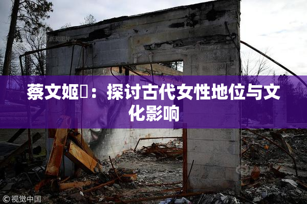 蔡文姬婬：探讨古代女性地位与文化影响