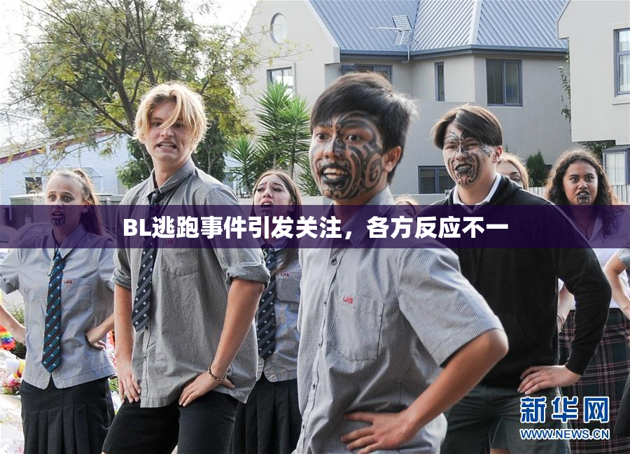 BL逃跑事件引发关注，各方反应不一