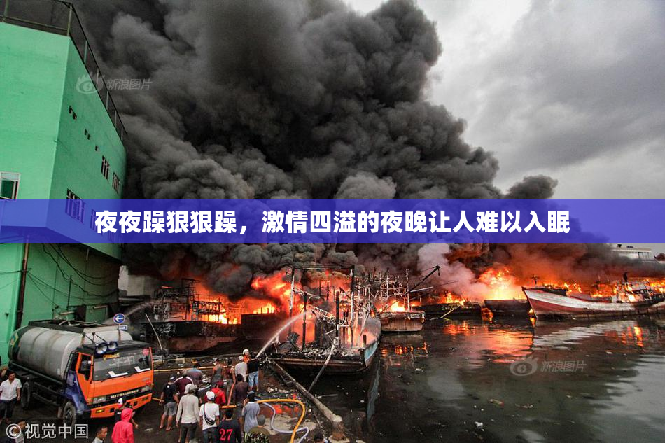 夜夜躁狠狠躁，激情四溢的夜晚让人难以入眠