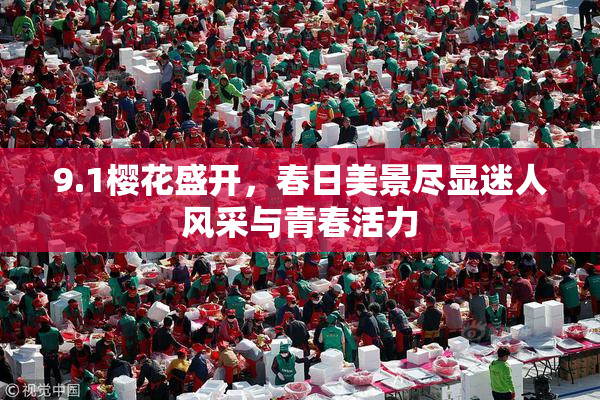 9.1樱花盛开，春日美景尽显迷人风采与青春活力