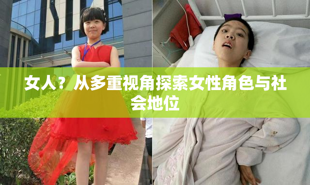 女人？从多重视角探索女性角色与社会地位