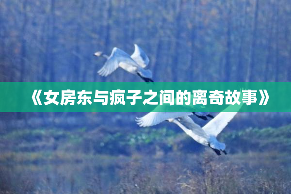 《女房东与疯子之间的离奇故事》