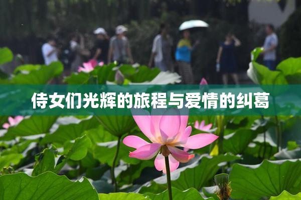 侍女们光辉的旅程与爱情的纠葛