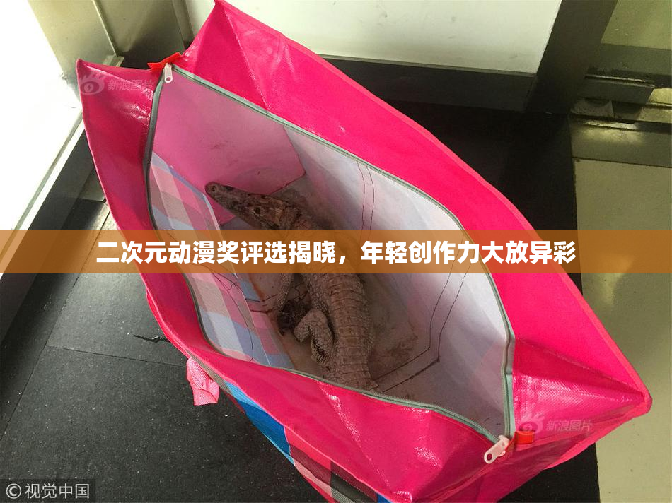 二次元动漫奖评选揭晓，年轻创作力大放异彩