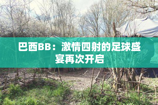 巴西BB：激情四射的足球盛宴再次开启