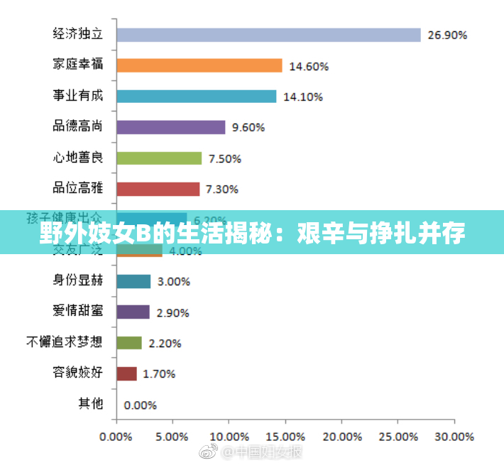 野外妓女B的生活揭秘：艰辛与挣扎并存
