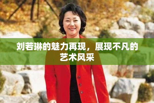 刘若琳的魅力再现，展现不凡的艺术风采