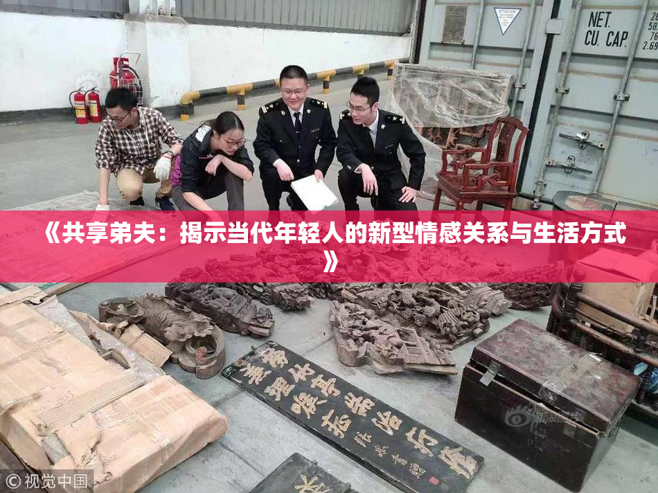 《共享弟夫：揭示当代年轻人的新型情感关系与生活方式》