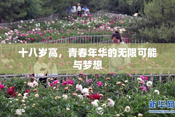 十八岁高，青春年华的无限可能与梦想