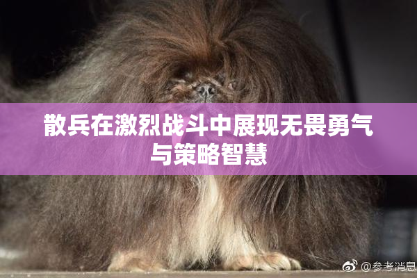 散兵在激烈战斗中展现无畏勇气与策略智慧