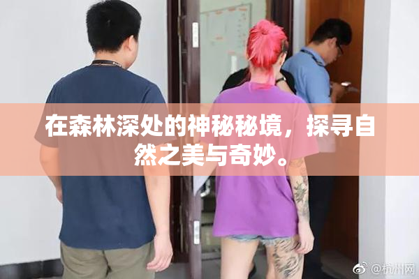 在森林深处的神秘秘境，探寻自然之美与奇妙。