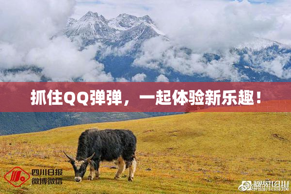 抓住QQ弹弹，一起体验新乐趣！