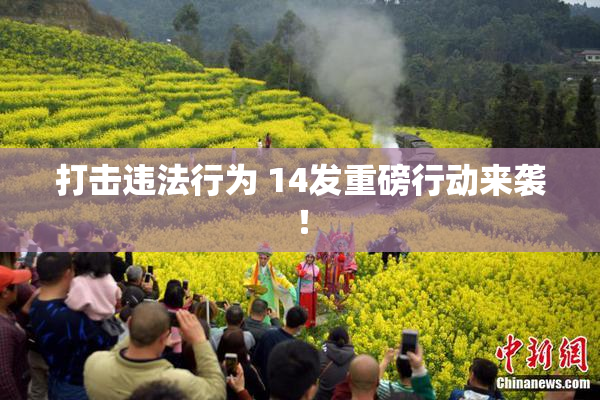 打击违法行为 14发重磅行动来袭！