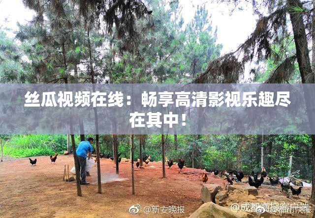 丝瓜视频在线：畅享高清影视乐趣尽在其中！