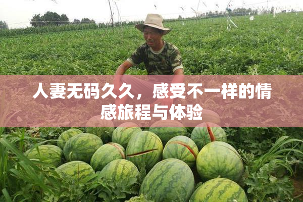 人妻无码久久，感受不一样的情感旅程与体验