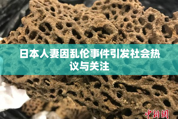 日本人妻因乱伦事件引发社会热议与关注