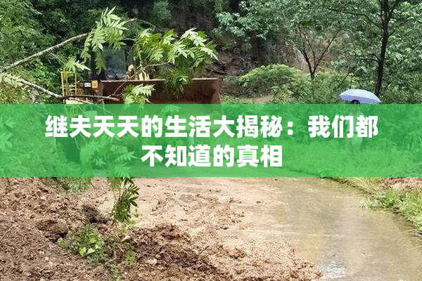 继夫天天的生活大揭秘：我们都不知道的真相