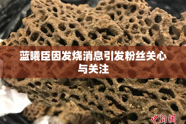 蓝曦臣因发烧消息引发粉丝关心与关注
