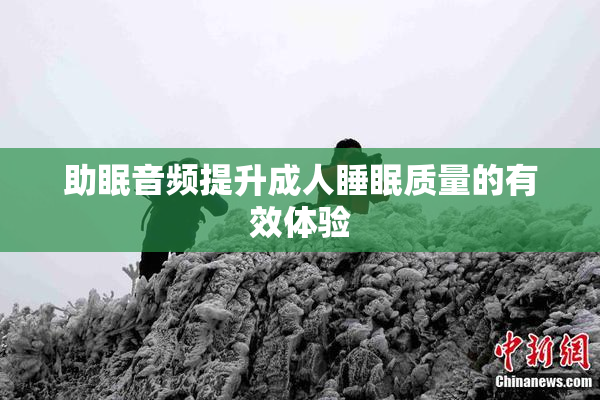 助眠音频提升成人睡眠质量的有效体验