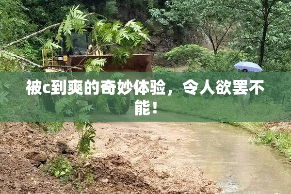 被c到爽的奇妙体验，令人欲罢不能！