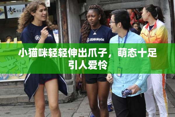 小猫咪轻轻伸出爪子，萌态十足引人爱怜