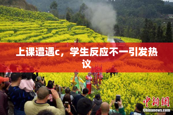 上课遭遇c，学生反应不一引发热议